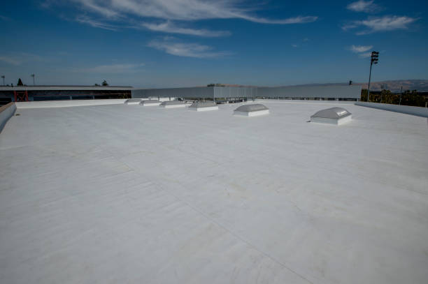 Best Roof Insulation Installation  in Desnso, CA