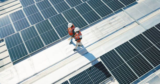 Best Roof Moss and Algae Removal  in Desnso, CA