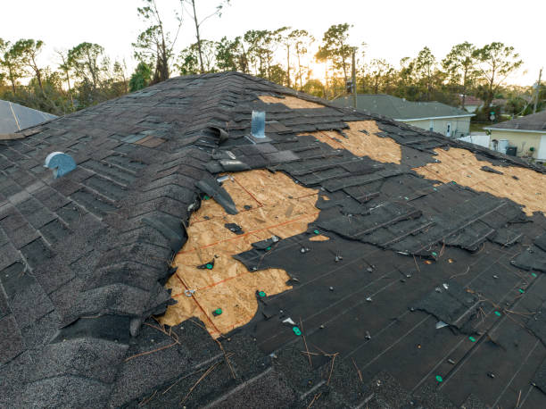 Best Solar Panel Roofing Installation  in Desnso, CA