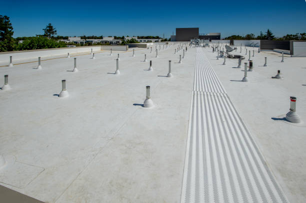 Best Metal Roofing Installation  in Desnso, CA